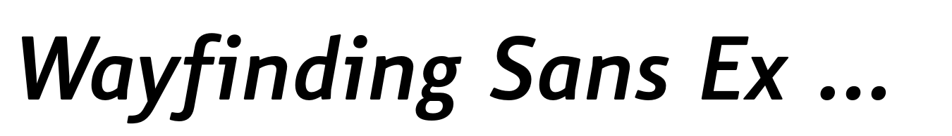 Wayfinding Sans Ex N Bold Italic